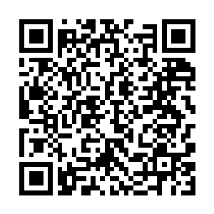 Link to your fundraiser QRCode - Fundraising