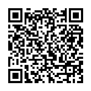Link to your fundraiser QRCode - Fundraising