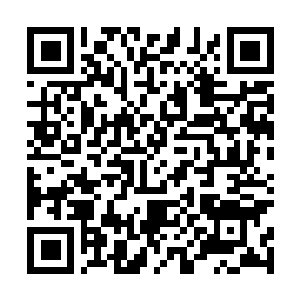 Link to your fundraiser QRCode - Fundraising