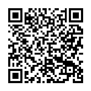 Link to your fundraiser QRCode - Fundraising