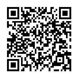 Link to your fundraiser QRCode - Fundraising