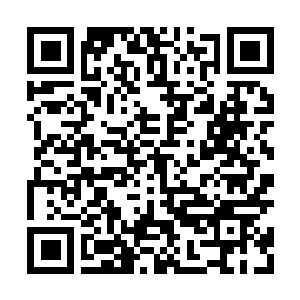 Link to your fundraiser QRCode - Fundraising
