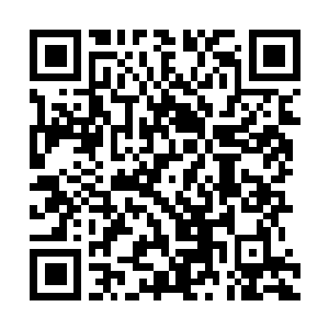 Link to your fundraiser QRCode - Fundraising