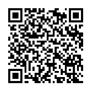 Link to your fundraiser QRCode - Fundraising