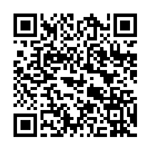 Link to your fundraiser QRCode - Fundraising