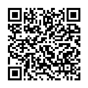 Link to your fundraiser QRCode - Fundraising