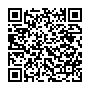 Link to your fundraiser QRCode - Fundraising