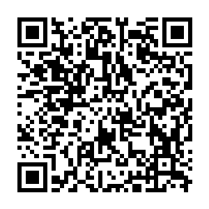 Link to your fundraiser QRCode - Fundraising