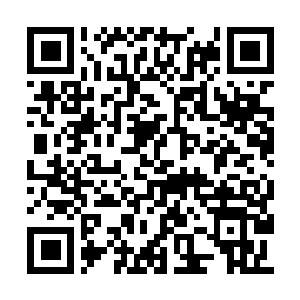 Link to your fundraiser QRCode - Fundraising