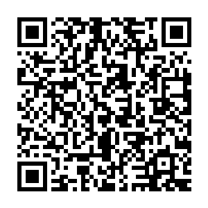 Link to your fundraiser QRCode - Fundraising