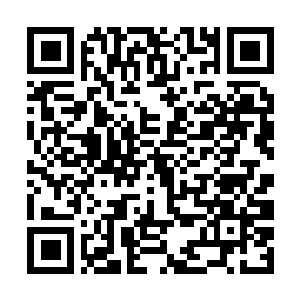 Link to your fundraiser QRCode - Fundraising