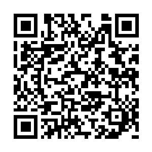 Link to your fundraiser QRCode - Fundraising