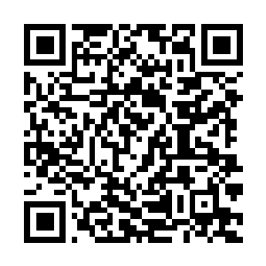 Link to your fundraiser QRCode - Fundraising