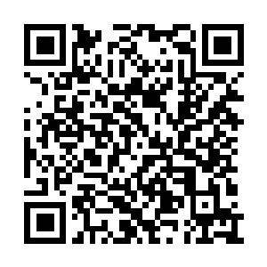 Link to your fundraiser QRCode - Fundraising