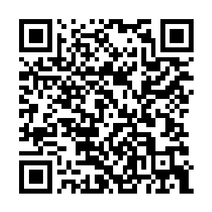 Link to your fundraiser QRCode - Fundraising