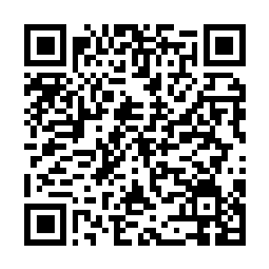 Link to your fundraiser QRCode - Fundraising