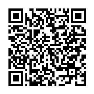 Link to your fundraiser QRCode - Fundraising