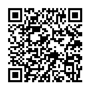 Link to your fundraiser QRCode - Fundraising