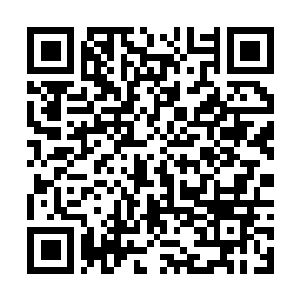 Link to your fundraiser QRCode - Fundraising