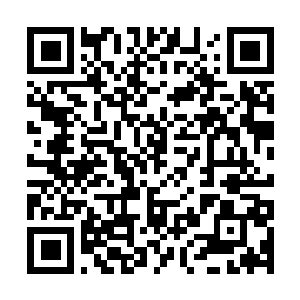 Link to your fundraiser QRCode - Fundraising