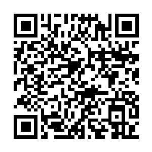 Link to your fundraiser QRCode - Fundraising