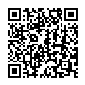 Link to your fundraiser QRCode - Fundraising