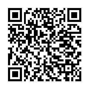 Link to your fundraiser QRCode - Fundraising