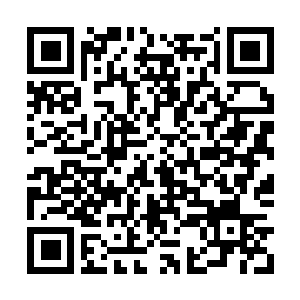 Link to your fundraiser QRCode - Fundraising