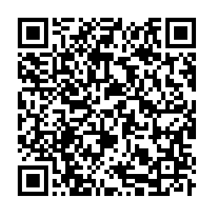 Link to your fundraiser QRCode - Fundraising