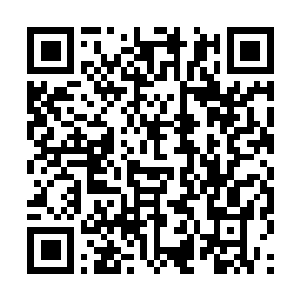 Link to your fundraiser QRCode - Fundraising