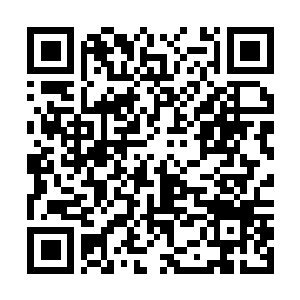 Link to your fundraiser QRCode - Fundraising