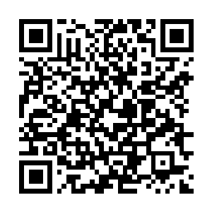 Link to your fundraiser QRCode - Fundraising