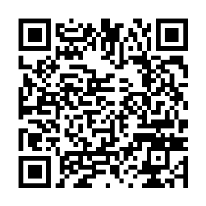Link to your fundraiser QRCode - Fundraising