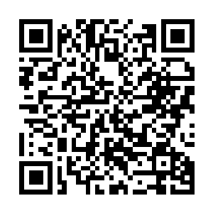 Link to your fundraiser QRCode - Fundraising