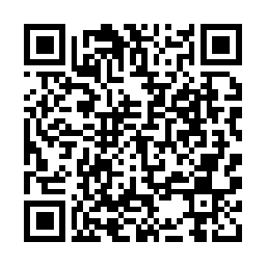 Link to your fundraiser QRCode - Fundraising