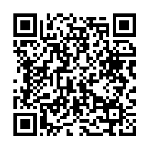 Link to your fundraiser QRCode - Fundraising