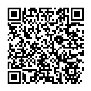 Link to your fundraiser QRCode - Fundraising