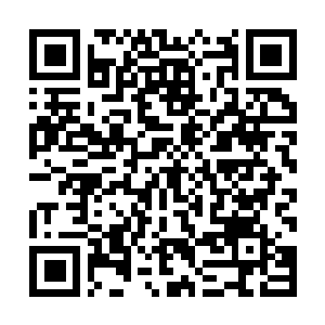 Link to your fundraiser QRCode - Fundraising