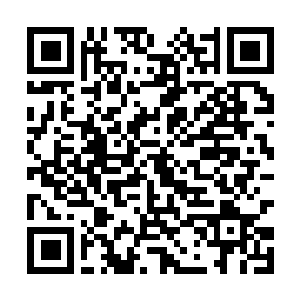 Link to your fundraiser QRCode - Fundraising