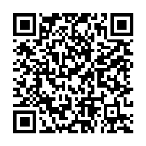 Link to your fundraiser QRCode - Fundraising