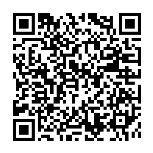 Link to your fundraiser QRCode - Fundraising