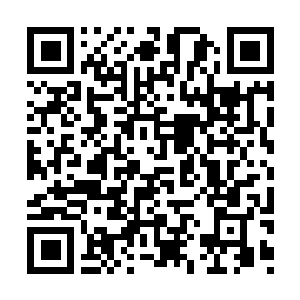Link to your fundraiser QRCode - Fundraising