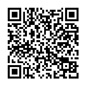 Link to your fundraiser QRCode - Fundraising