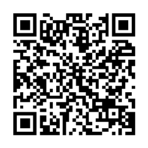 Link to your fundraiser QRCode - Fundraising