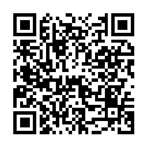 Link to your fundraiser QRCode - Fundraising