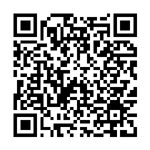 Link to your fundraiser QRCode - Fundraising