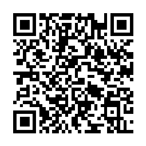 Link to your fundraiser QRCode - Fundraising