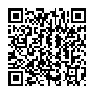 Link to your fundraiser QRCode - Fundraising