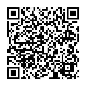 Link to your fundraiser QRCode - Fundraising