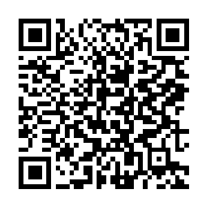 Link to your fundraiser QRCode - Fundraising